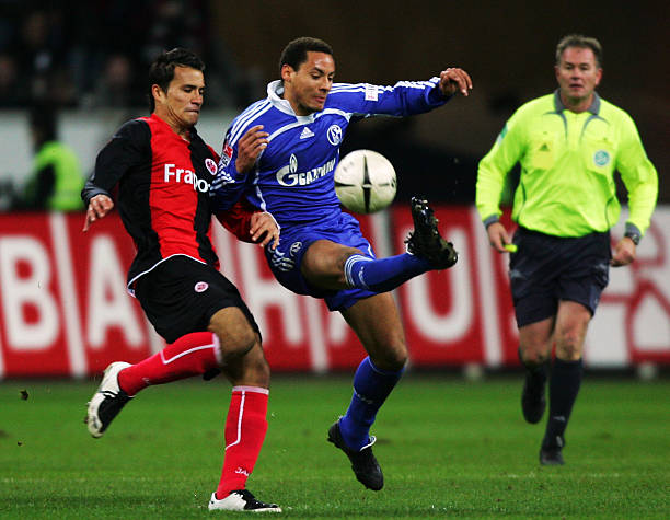 的努力下为 的努力下为